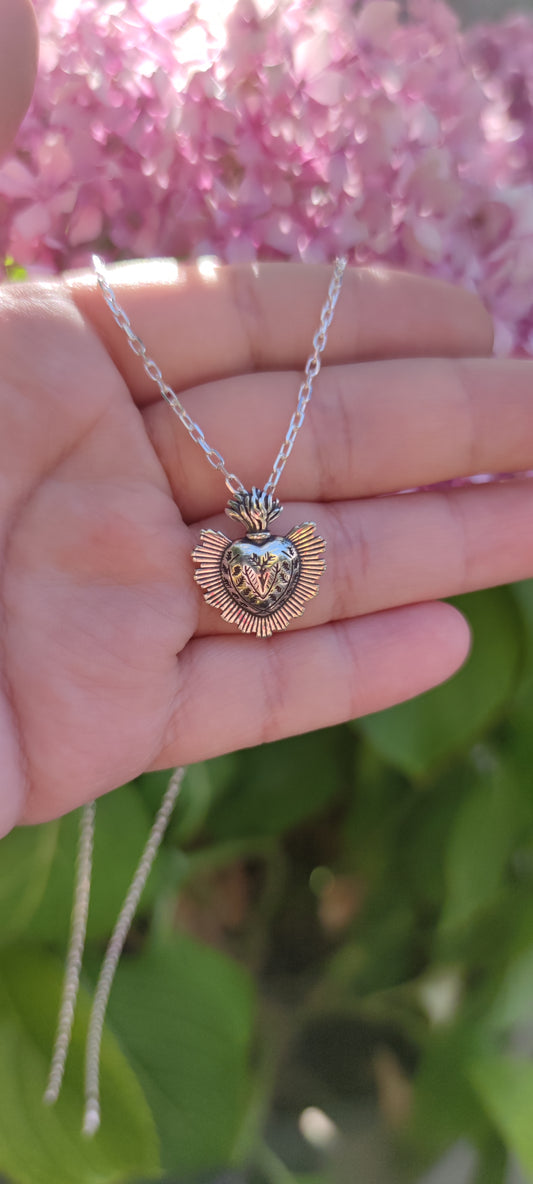 CORAZÓN DETENTE DE PLATA